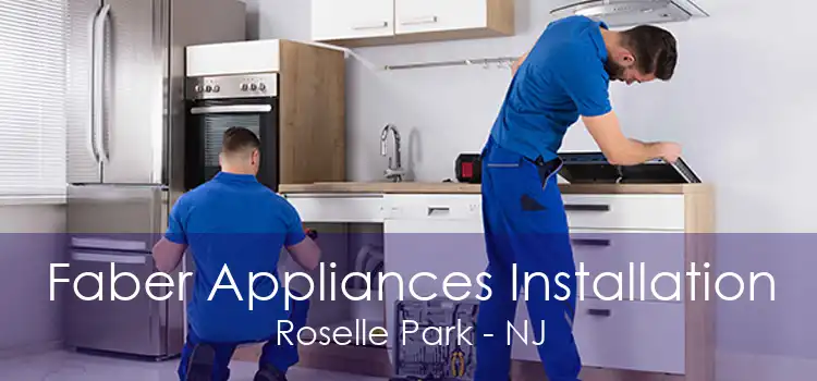 Faber Appliances Installation Roselle Park - NJ
