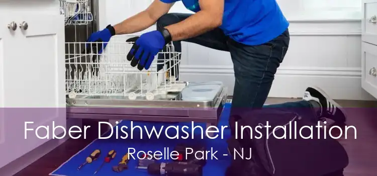 Faber Dishwasher Installation Roselle Park - NJ