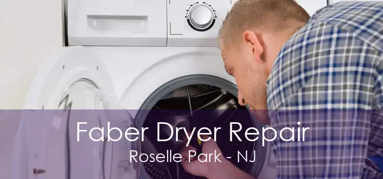 Faber Dryer Repair Roselle Park - NJ