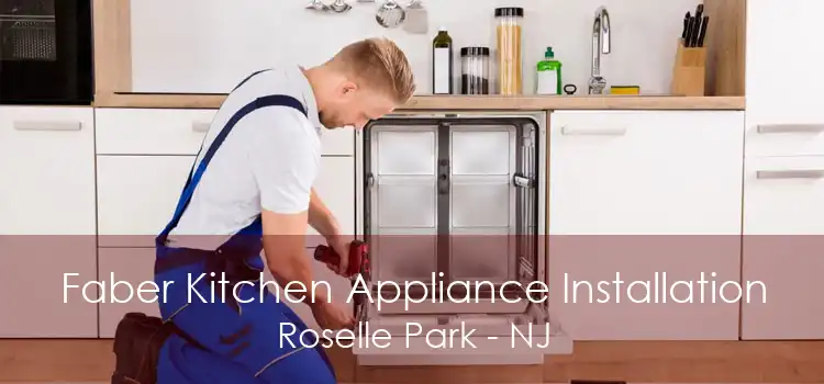 Faber Kitchen Appliance Installation Roselle Park - NJ