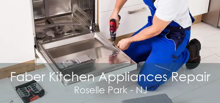 Faber Kitchen Appliances Repair Roselle Park - NJ