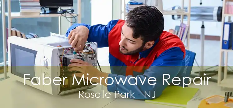 Faber Microwave Repair Roselle Park - NJ