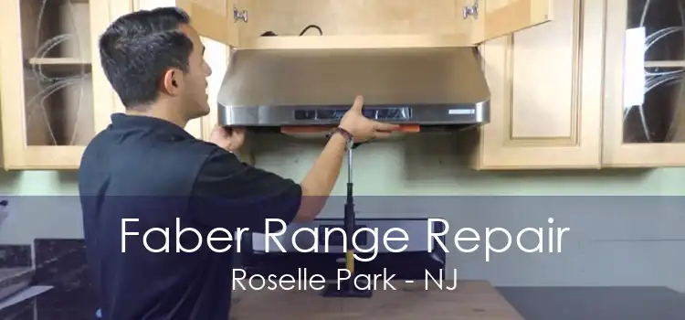 Faber Range Repair Roselle Park - NJ