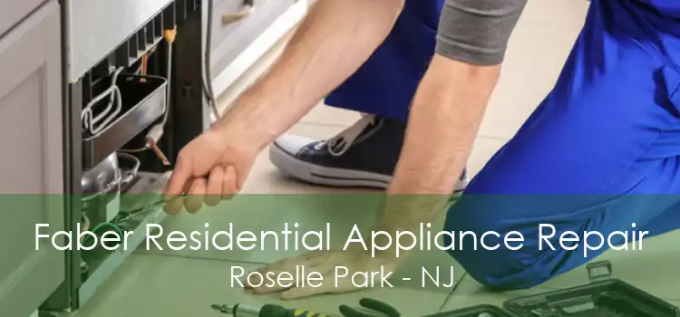Faber Residential Appliance Repair Roselle Park - NJ