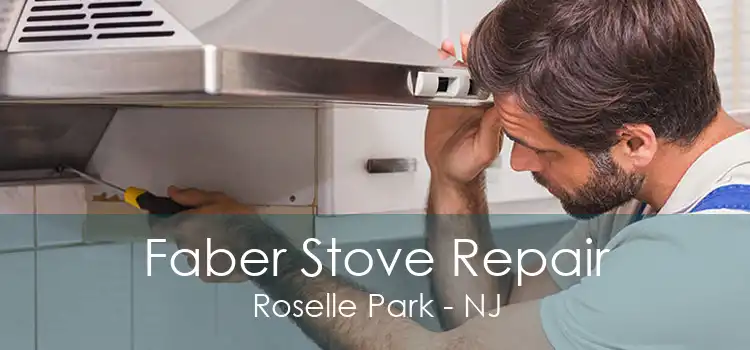 Faber Stove Repair Roselle Park - NJ