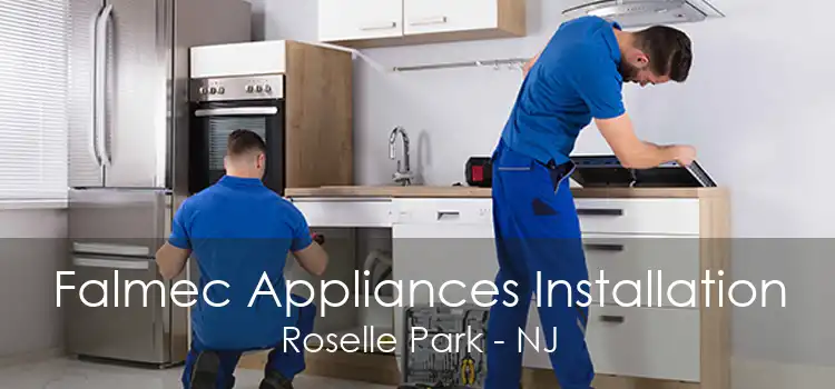 Falmec Appliances Installation Roselle Park - NJ