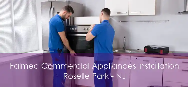 Falmec Commercial Appliances Installation Roselle Park - NJ