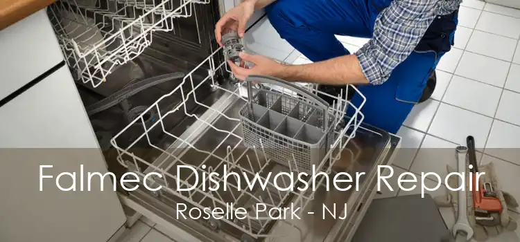 Falmec Dishwasher Repair Roselle Park - NJ