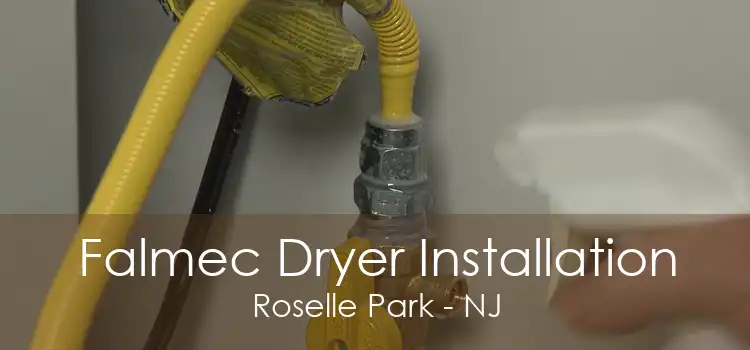 Falmec Dryer Installation Roselle Park - NJ