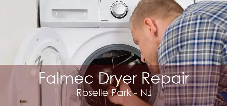 Falmec Dryer Repair Roselle Park - NJ
