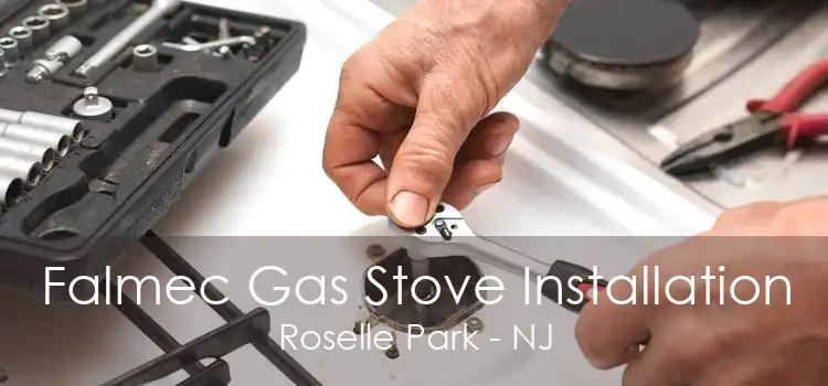 Falmec Gas Stove Installation Roselle Park - NJ