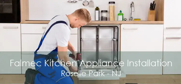 Falmec Kitchen Appliance Installation Roselle Park - NJ