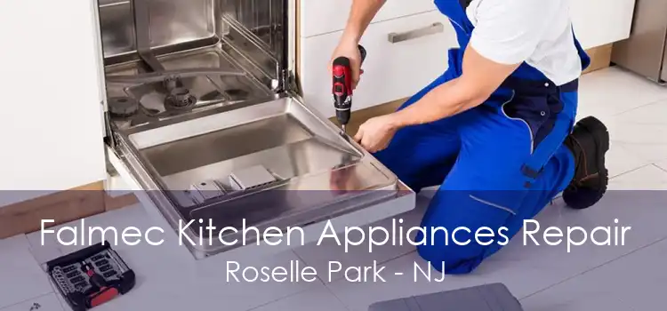 Falmec Kitchen Appliances Repair Roselle Park - NJ
