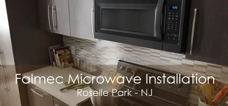 Falmec Microwave Installation Roselle Park - NJ