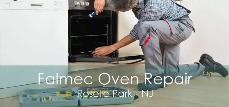 Falmec Oven Repair Roselle Park - NJ