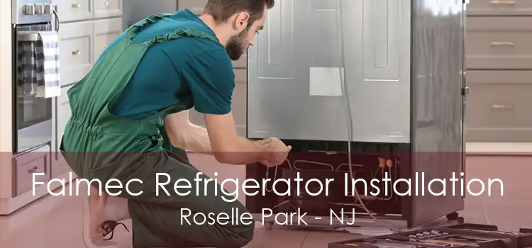 Falmec Refrigerator Installation Roselle Park - NJ
