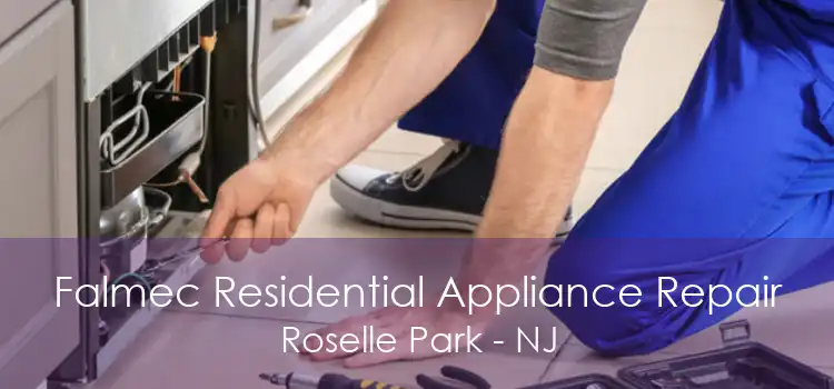 Falmec Residential Appliance Repair Roselle Park - NJ