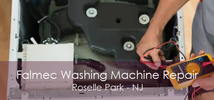 Falmec Washing Machine Repair Roselle Park - NJ
