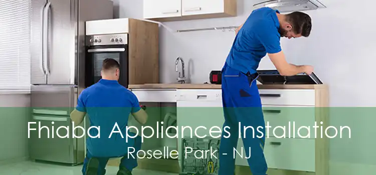 Fhiaba Appliances Installation Roselle Park - NJ