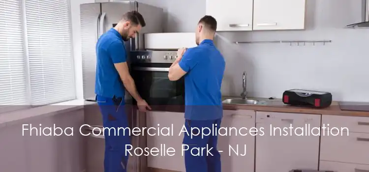 Fhiaba Commercial Appliances Installation Roselle Park - NJ