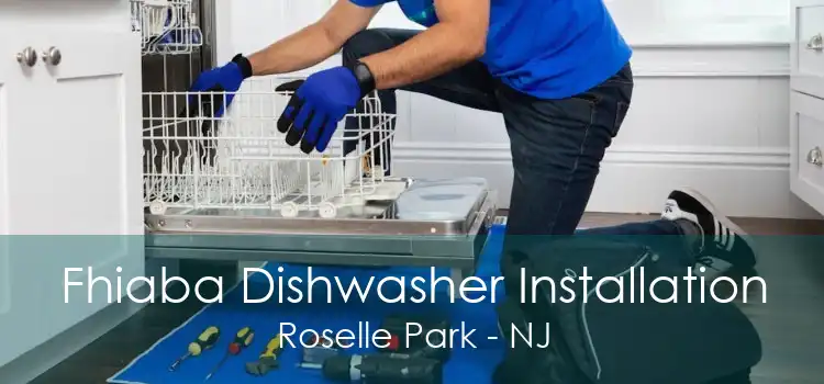 Fhiaba Dishwasher Installation Roselle Park - NJ