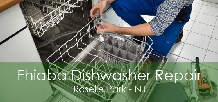 Fhiaba Dishwasher Repair Roselle Park - NJ