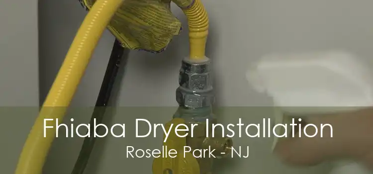 Fhiaba Dryer Installation Roselle Park - NJ