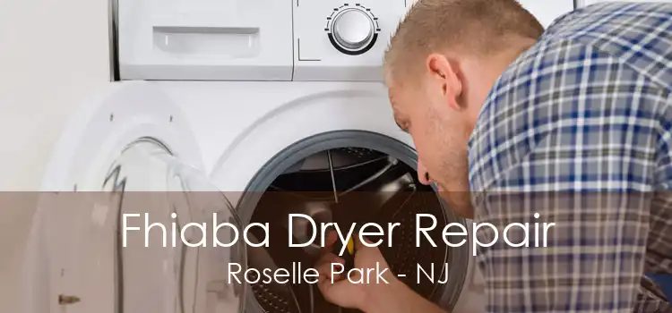 Fhiaba Dryer Repair Roselle Park - NJ