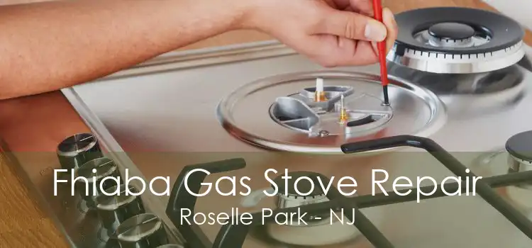Fhiaba Gas Stove Repair Roselle Park - NJ