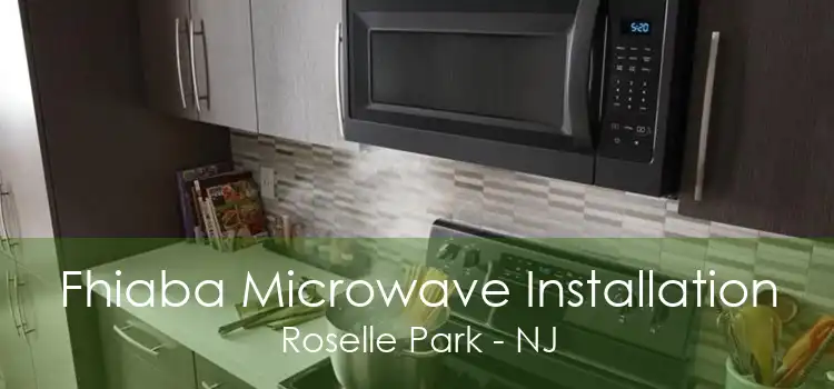 Fhiaba Microwave Installation Roselle Park - NJ