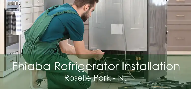 Fhiaba Refrigerator Installation Roselle Park - NJ