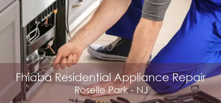 Fhiaba Residential Appliance Repair Roselle Park - NJ
