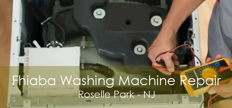 Fhiaba Washing Machine Repair Roselle Park - NJ