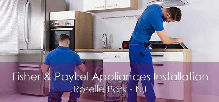 Fisher & Paykel Appliances Installation Roselle Park - NJ
