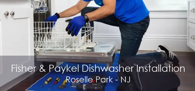Fisher & Paykel Dishwasher Installation Roselle Park - NJ