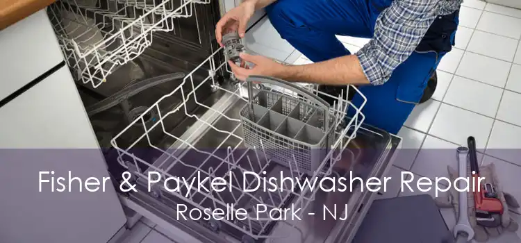 Fisher & Paykel Dishwasher Repair Roselle Park - NJ