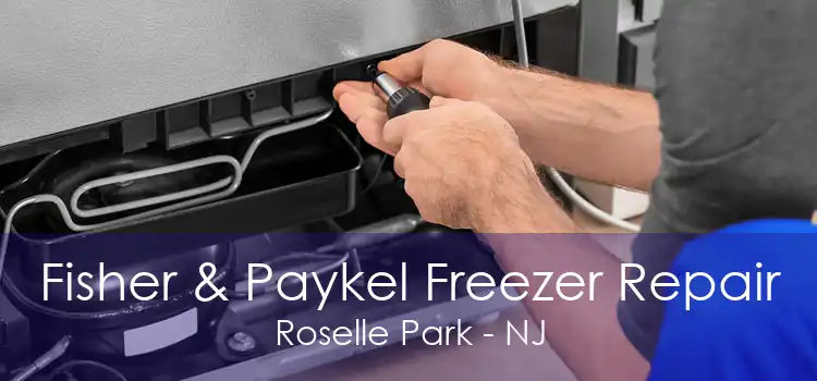 Fisher & Paykel Freezer Repair Roselle Park - NJ