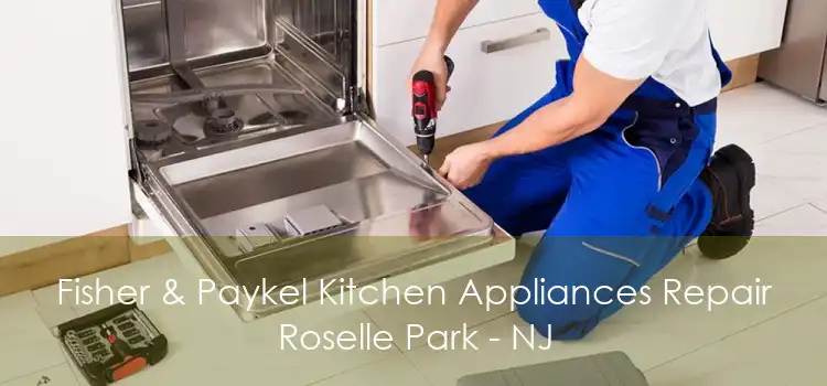 Fisher & Paykel Kitchen Appliances Repair Roselle Park - NJ