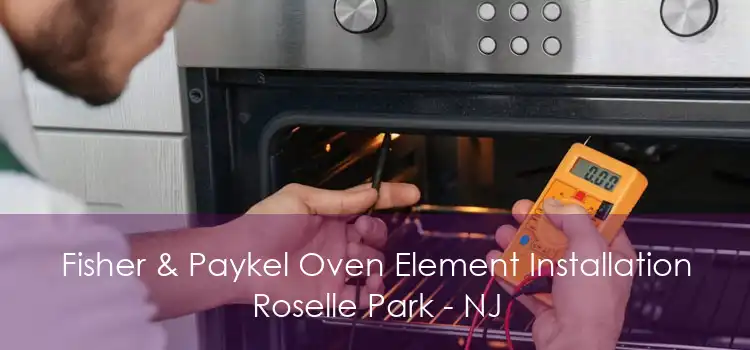 Fisher & Paykel Oven Element Installation Roselle Park - NJ