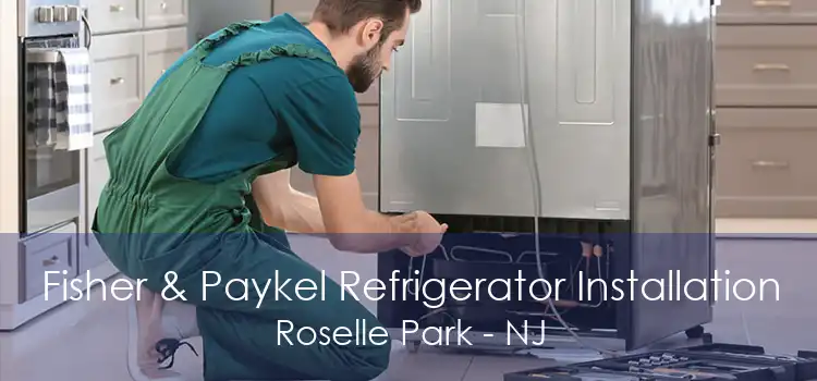 Fisher & Paykel Refrigerator Installation Roselle Park - NJ