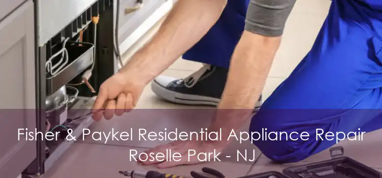 Fisher & Paykel Residential Appliance Repair Roselle Park - NJ