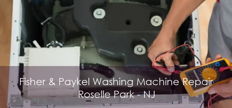 Fisher & Paykel Washing Machine Repair Roselle Park - NJ