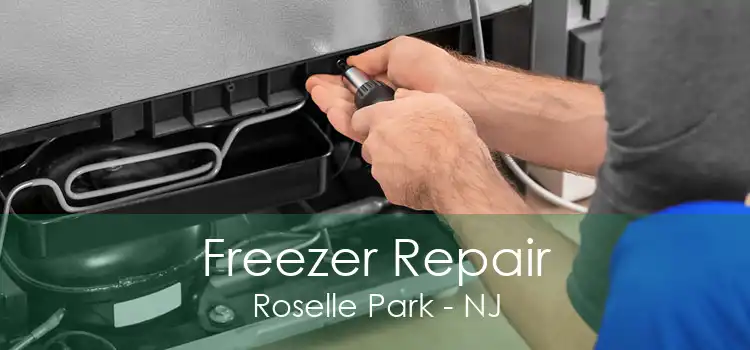 Freezer Repair Roselle Park - NJ