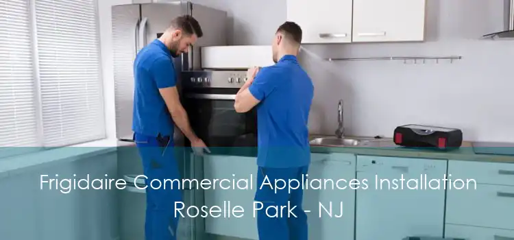 Frigidaire Commercial Appliances Installation Roselle Park - NJ
