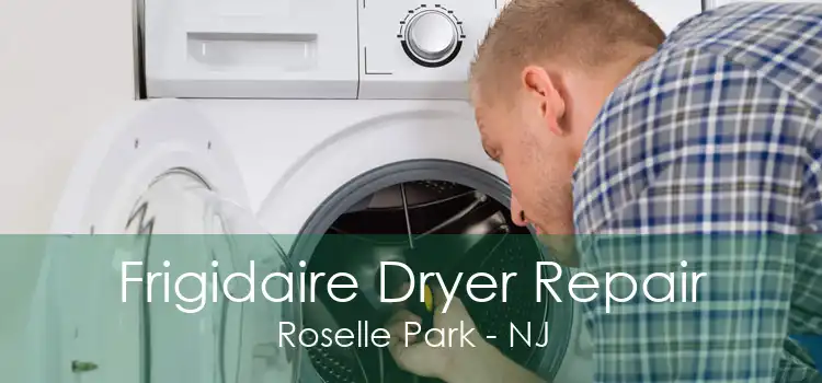 Frigidaire Dryer Repair Roselle Park - NJ