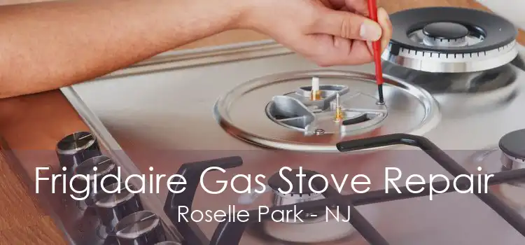 Frigidaire Gas Stove Repair Roselle Park - NJ