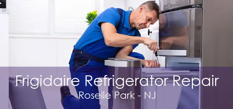 Frigidaire Refrigerator Repair Roselle Park - NJ