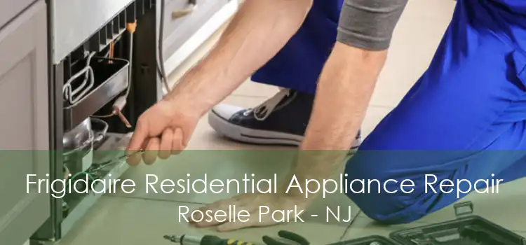 Frigidaire Residential Appliance Repair Roselle Park - NJ