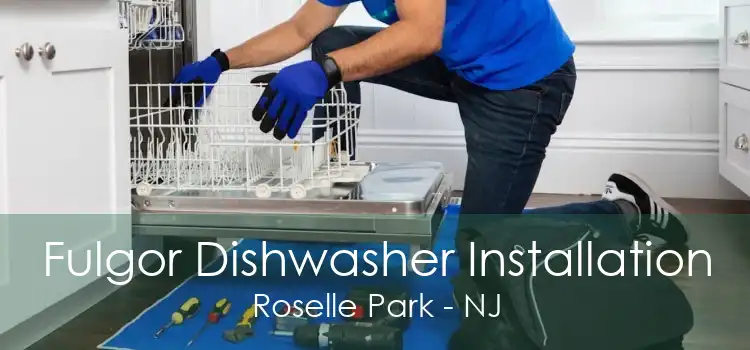 Fulgor Dishwasher Installation Roselle Park - NJ