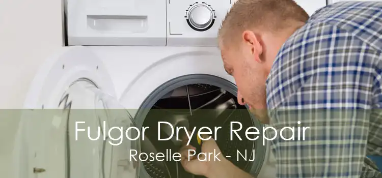 Fulgor Dryer Repair Roselle Park - NJ